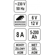 Mikroprocesorinis impulsinis auto pakrovėjas | 6/12V 8A 5-200ah (YT-8301)