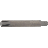Antgalis | ilgis 100 mm | 10 mm (3/8") | Spline (RIBE) M13 (4779)